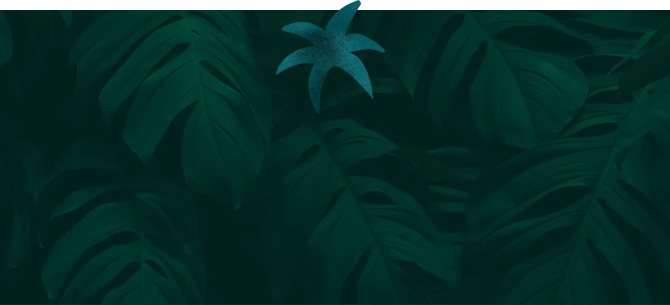 Real Estate Investment Services