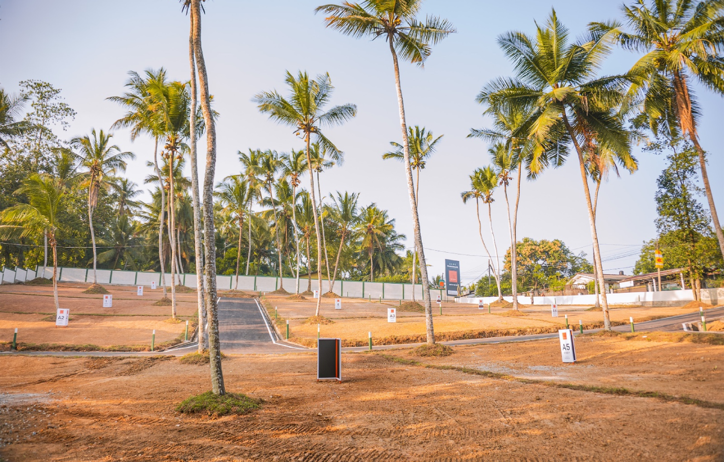 Empty residential plot with palm trees and dry soil