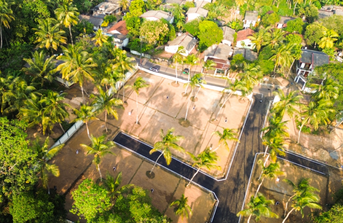 Aerial view of a landscaped residential plot with palm trees and boundary walls
