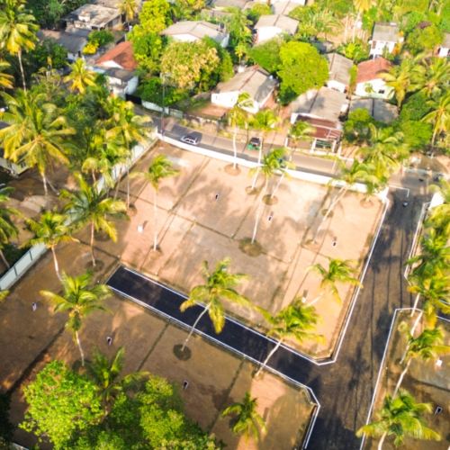 Aerial view of a landscaped residential plot with palm trees and boundary walls
