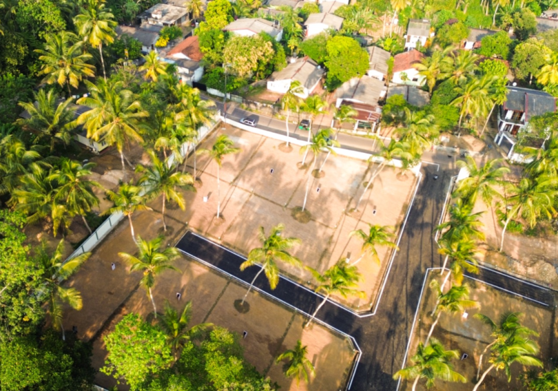 Aerial view of a landscaped residential plot with palm trees and boundary walls