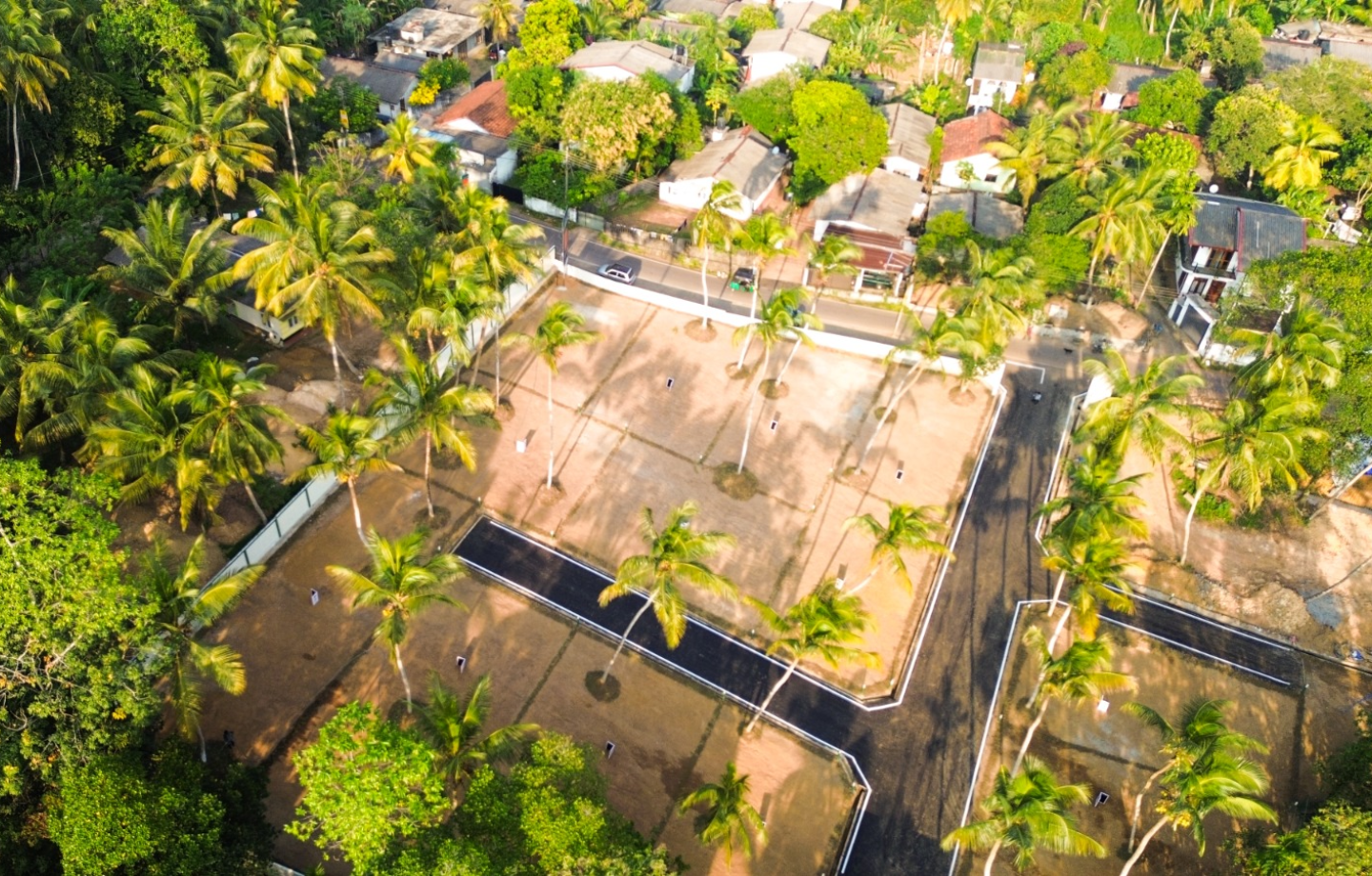 Aerial view of a landscaped residential plot with palm trees and boundary walls