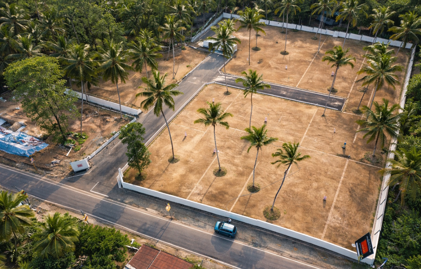Aerial view of cleared land with young palm trees planted in rows
