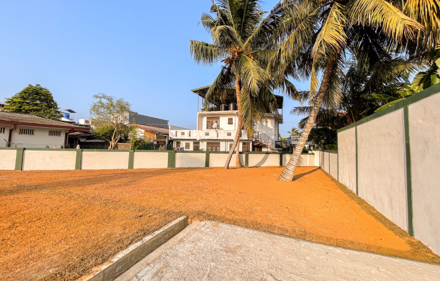 Coconut trees leaning over a boundary wall on a dry plot