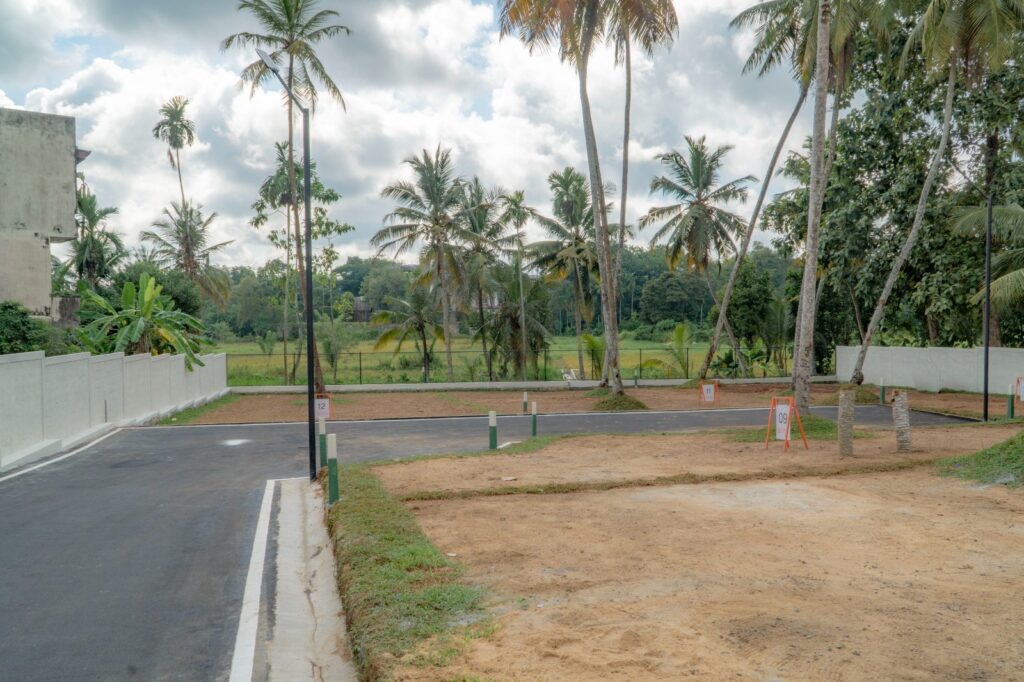 Antara 6